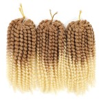 Codite de par Afro Marley de 20 cm 001 Ombre Crochet Braids Saten Deschis-Blond Deschis